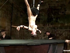 Bondage discipline sadomasochisme, Grote mammen, Bruinharig, Fetisj, Hd, Speelgoed