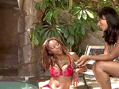 Ébano, Lesbiana, Coño