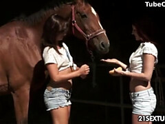 Klassisch, Schwanz, Europäisch, Fingern, Hardcore, Nippel, Jungendliche (18+), Titten