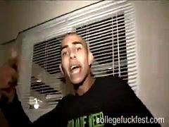 Leie, Grosser schwanz, Blasen, Gruppe, Hardcore, Interrassisch, Öffentlich, Ablutschen