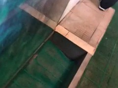 Aziatisch, Chinees, Homo