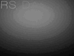 Blond, Pijpbeurt, Hondjeshouding, Hardcore, Naakt, Natuurlijke tieten, Kut duiken, Tieten likken