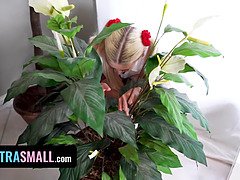 18 jaar, Amerikaans, Dik, Hd, Klein, Gezichtspunt, Taboe, Tiener