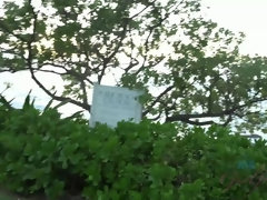 Playa, Negro, Mamada, Pov, Flaco, Calientapollas, Tetas, Mojado