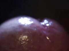 Grosse bite, Poilue, Masturbation, Pénis