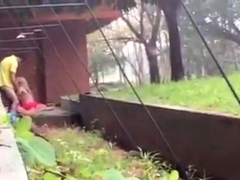 Amateur, Mamada, Al aire libre, Público, Voyeur