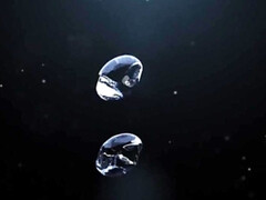 Tussi, Dildo, Fetisch, Leder, Natürlichen titten, Pornostars, Muschi, Titten