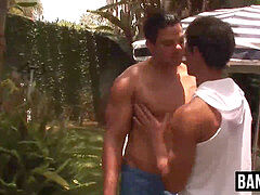 Anaal, Pijpbeurt, Diep in de keel, Homo, Handbeurt, Buiten