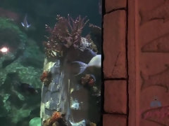 Schmutzig, Freundin, Höschen, Pov, Öffentlich, Muschi, Rasiert, Titten