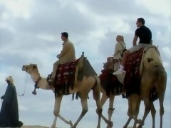 Красотки, Большая жопа, Большие сиськи, Блондинки, Минет, Групповуха, Итальянки, Натуральные сиськи