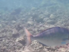 Бикини, Платье, Пальцем, Эксгибиционист, Подружка, Поцелуи, От первого лица, Сиськи