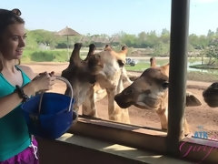 Enthousiasteling, Bruinharig, Vriendin, Kut duiken, Tieten likken