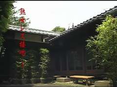 Asiatisch, Fetisch, Japanische massage