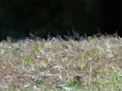 Japanische massage, Jungendliche (18+), Spanner