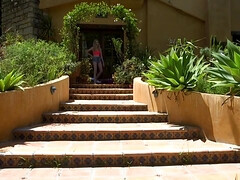 Anal, Sadomasoquismo, Verga grande, Amarrada, Clásico, Garganta profunda, Hd, Tetas