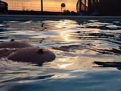 Amateur, Doigter, De plein air, Piscine, Public