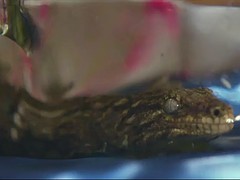 Asiático, Chica, Rubia, Celebridad, Madres para coger