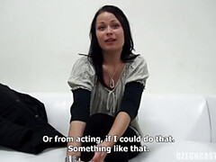 Bruinharig, Tsjechisch, Hd, Gezichtspunt