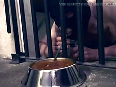 MILF Mistress April Dominates Three Slaves in Hardcore BDSM Threesome Part 5