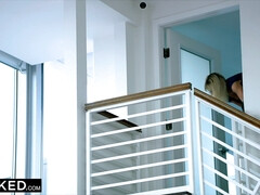 Cunnilingus, Mamada, Corrida, Polla, Estilo perrito, Lamidas, Realidad, Montar