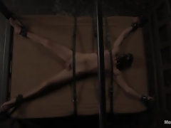 緊縛, ボンデージ, 顔面騎乗, 陵辱, ゴム, オーガズム, 苦痛, お仕置き