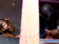 Жопа, Минет, Собачьи, Ласковые ручки, Натуральные сиськи, На публике, Бритые, Сиськи