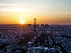 アナル, 美女, 下着, オージー, 剃毛, ストッキング, スインガー, オッパイの