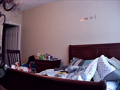 Grote kont, Zwart, Zwart, Bekijker