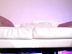 Amateur, Culo grande, Tetas grandes, Casero, Solo, Adolescente, Camara web