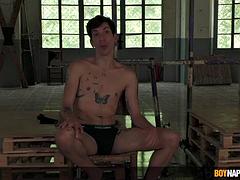 Gay