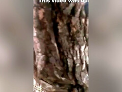 Amateur, Cul, Beauté, Sucer une bite, Gorge profonde, Orgasme, Chatte, Nénés