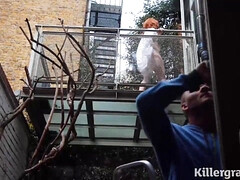 Grote kont, Grote mammen, Pijpbeurt, Handbeurt, Rijpe lesbienne, Moeder die ik wil neuken, Natuurlijke tieten, Tieten likken