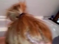 Amateur, Pov