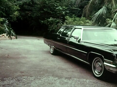 Gros cul, Gros seins, Sucer une bite, Hard, Hd, Mère que j'aimerais baiser, Nénés, Rétro ancien