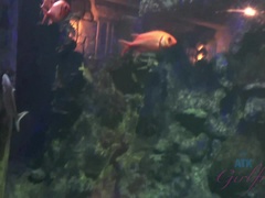 Пальцем, Подружка, Оргазм, Крошечные, На публике, Киски, Бритые, Сиськи