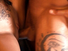 Arsch, Tussi, Blasen, Schwanz, Hardcore, Lecken, Muschi, Titten