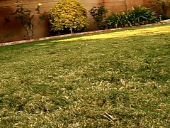 Анальный секс, Большая жопа, Минет, Брюнетки, Член, Черненькие, Секс без цензуры, Межрасовый секс