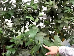 Любители, Хд, От первого лица, Бритые, Тощие, Курящие, Тату