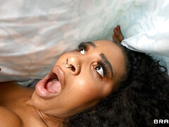 Lieveling, Pijpbeurt, Lul, Zwart, Hardcore, Kut duiken, Zusters, Tieten likken