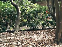 Tetas grandes, Despelote, Masturbación, Público