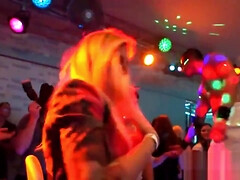 Arsch, Schönheit, Vollbusig, Gruppensex, Gruppe, Hardcore, Orgasmus, Muschi