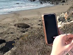 Amateur, Plage, Éjaculation interne, Pieds, Petite amie, Hard, Pov