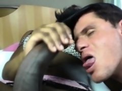 黒人, フェラチオ, 黒人, Hd, シーメール