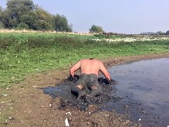 Grappig, Homo