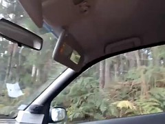 Auto, Masturbation, Im freien