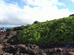 Mamada, Morena, Penetracion con dedos, Novia, Besar, Pequeña, Pov, Tetas