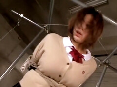 お尻, 緊縛, フェラチオ, 巨乳な, 古典, 日本人, 天然, オーガズム