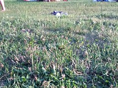 Huge nudist mature tits folding blanket, swinging goodbye