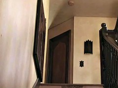 ビキニ, セレブ, ソフトコア, オッパイの