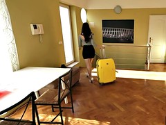 Pornstar Roommates